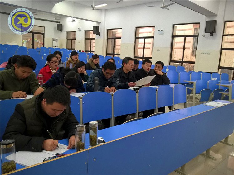 同课异构展风采,专家指导促成长(图6)