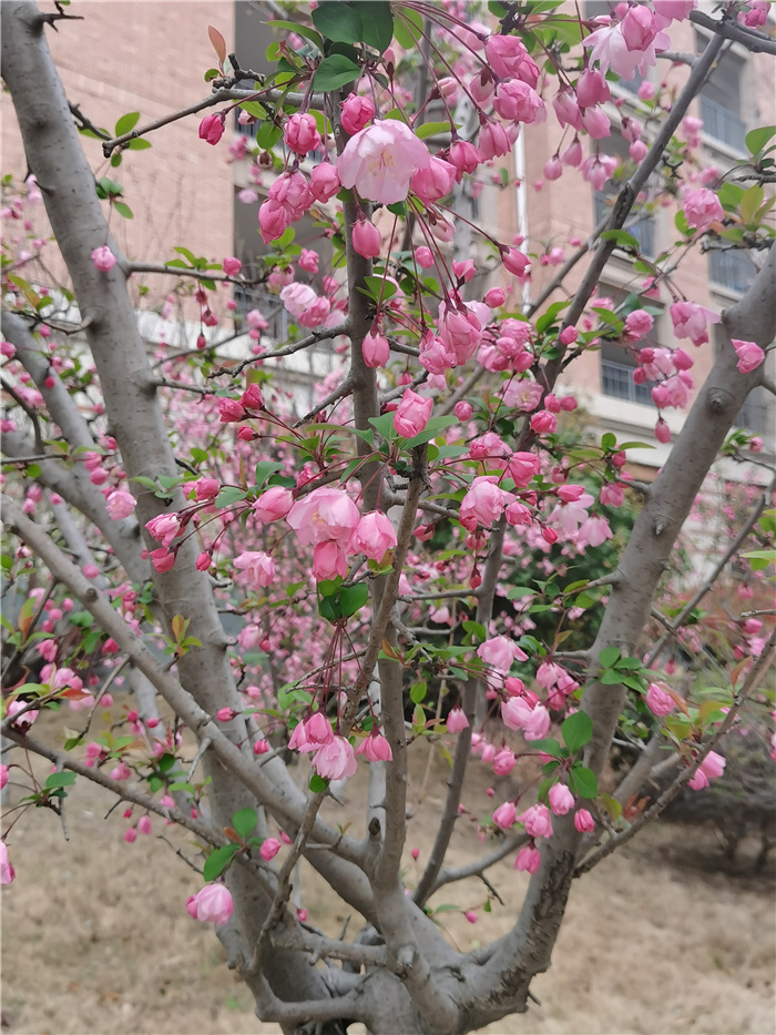 教务处：欣赏·陪伴·感叹(图2)