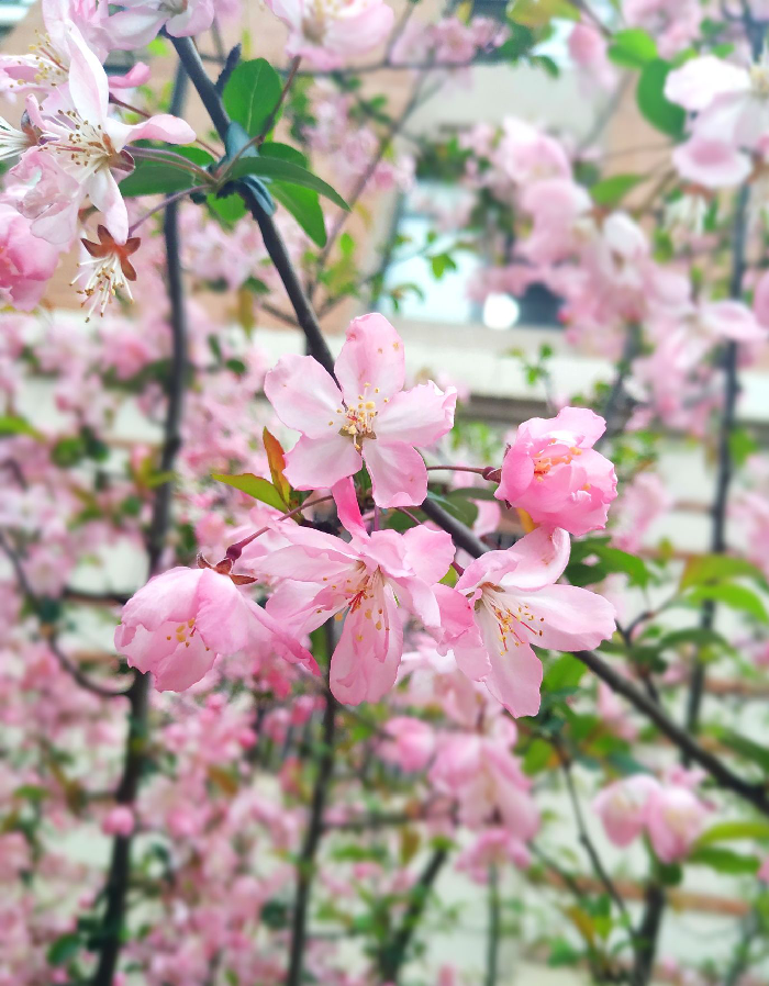 教务处:无奋斗不青春(图4)