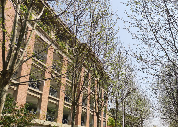 教务处:不负春光 砥砺前行(图1)