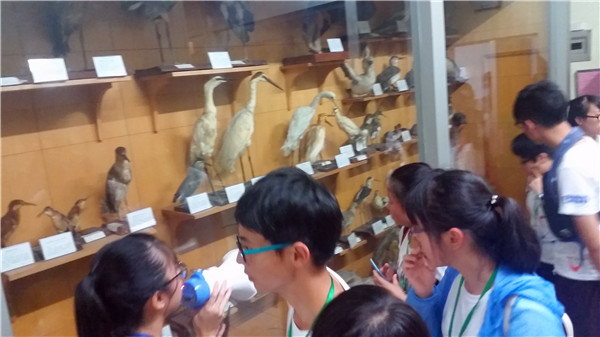 盛夏,遇见最美的校园(图6)