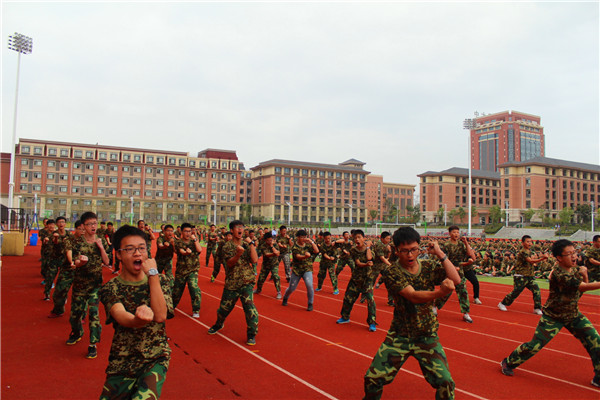 收获感悟,开启使命(图5)