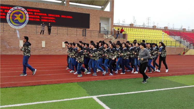 始于足下,奔向顶峰(图1)