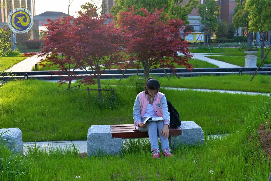 《合肥晚报》：带着信心出发 直奔成功彼岸(图4)