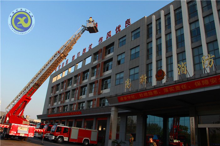  军民鱼水情，欢乐庆佳节(图5)