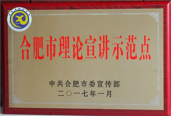 2017年党建工作汇总(图11)