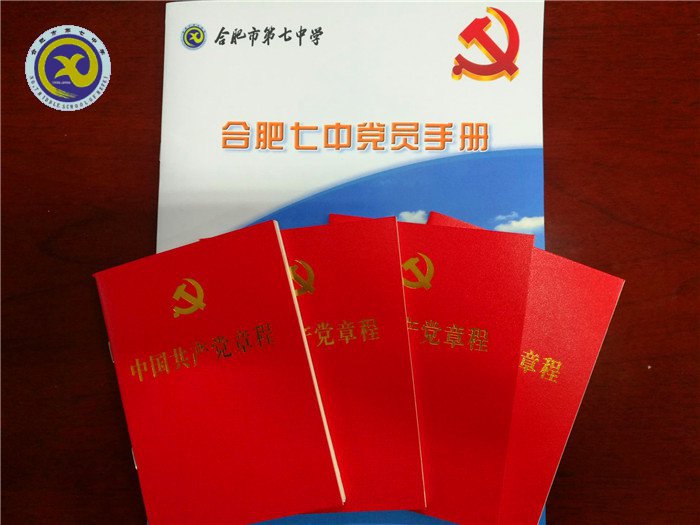 2017年党建工作汇总(图70)