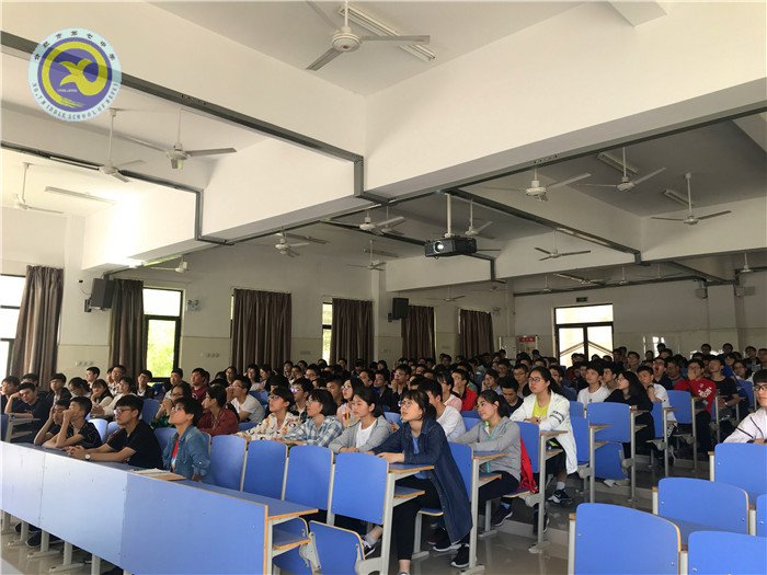 流彩五月 和雅七中(图54)