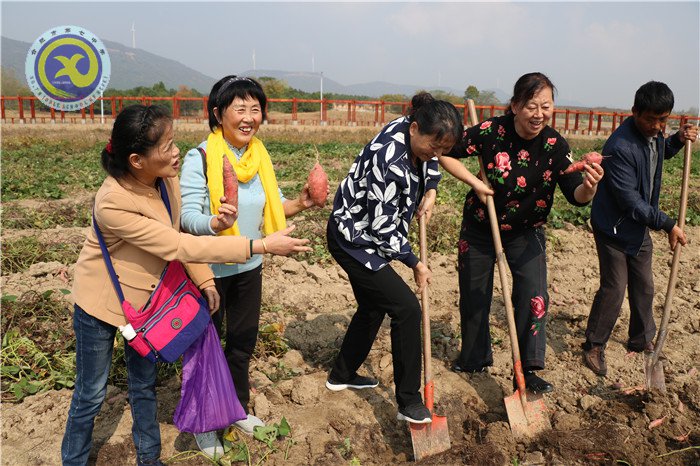 合肥七中离退休教职工参观三瓜公社(图25)