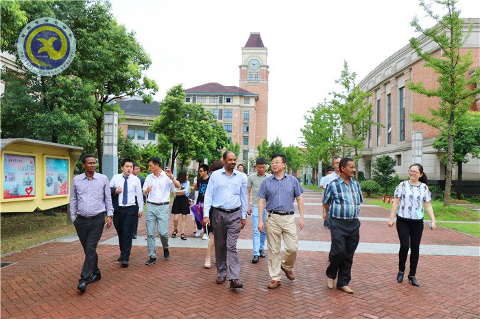 合肥日报:为梦想和远方奋斗的时光最美(图1)