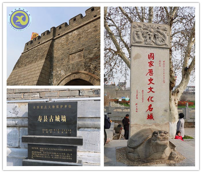 绿柳含烟日,踏青正当时(图2)