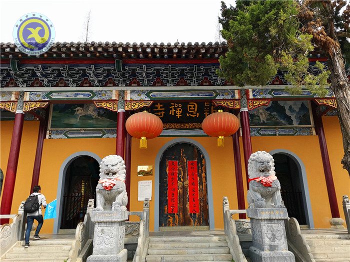 绿柳含烟日,踏青正当时(图5)