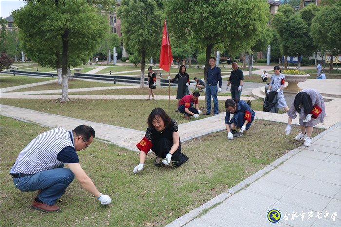 党员教师做志愿 拔草修绿美校园(图1)
