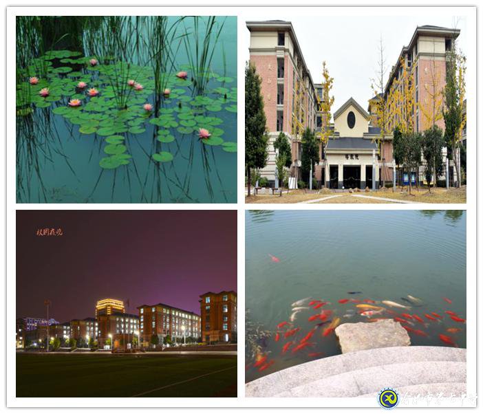 人文七中,书香校园(图13)