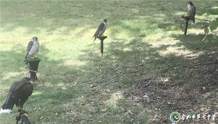 研学英国 提升英语水平 感受人文风采(图3)