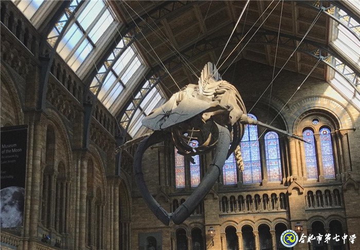 研学英国 提升英语水平 感受人文风采(图8)