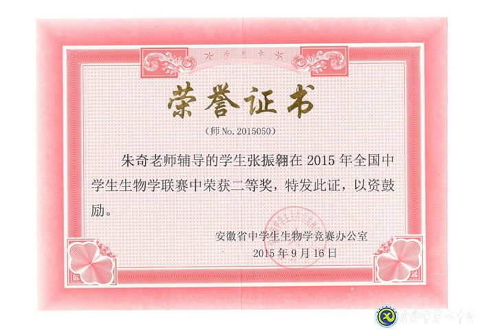 不忘初心 潜心育人(图7)