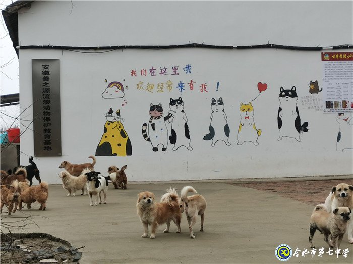 关爱生命,善待动物(图2)