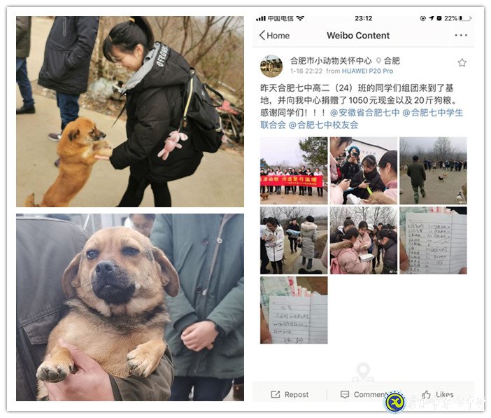 关爱生命,善待动物(图4)