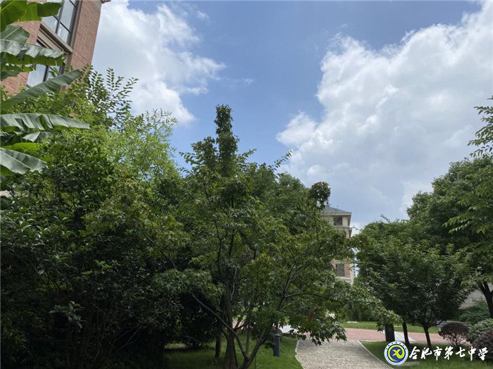 6月19日实习手记:感恩•敬佩•责任(图13)