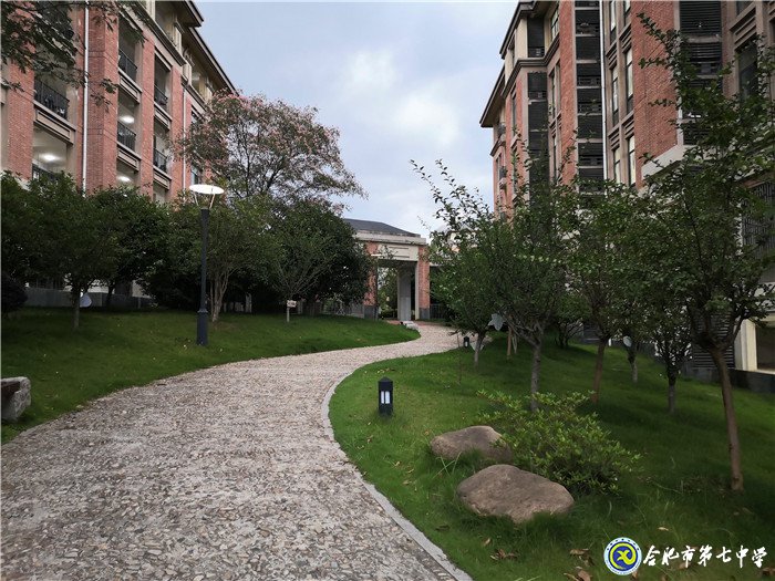 6月20日实习手记:念教育之心,拥教师之光(图5)