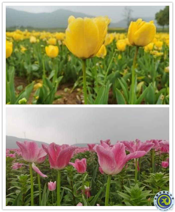 3_副本.jpg 3_副本.jpg