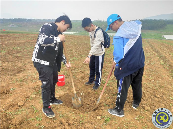 游三瓜公社,学农耕文化(图4) 游三瓜公社,学农耕文化(图4)