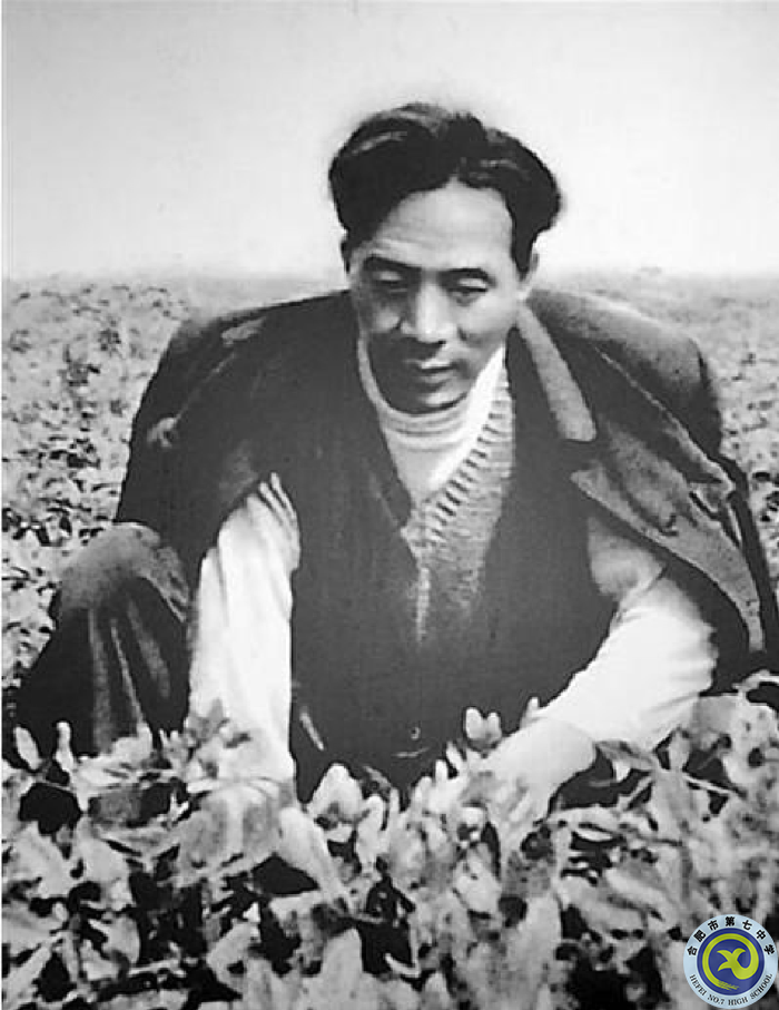 △焦裕禄在田间工作.png △焦裕禄在田间工作.png