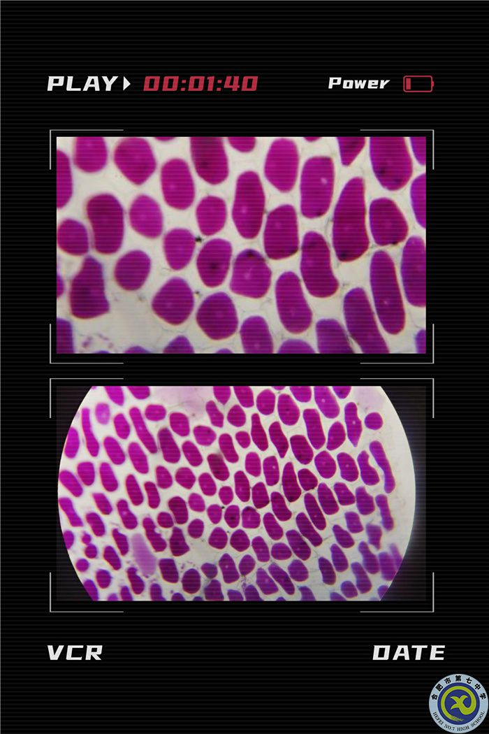 QQ图片20211130084947.jpg QQ图片20211130084947.jpg