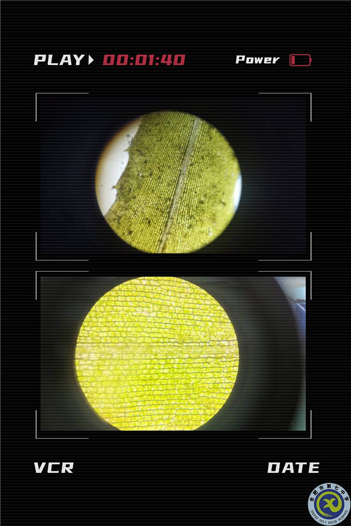 QQ图片20211130084824.jpg QQ图片20211130084824.jpg