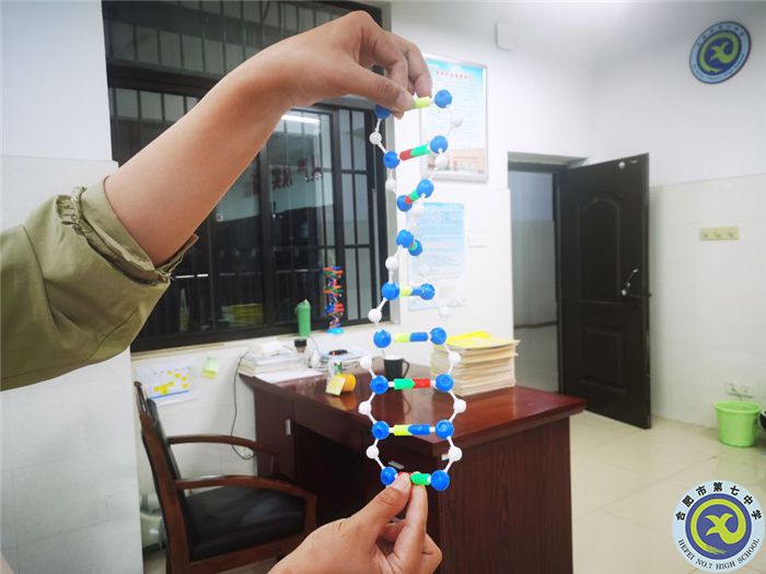 合肥七中高一、高二年级开展实验活动(图4) 合肥七中高一、高二年级开展实验活动(图4)