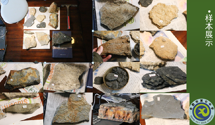 研学硕果盈枝  学生在创新实践中成长(图12) 研学硕果盈枝  学生在创新实践中成长(图12)