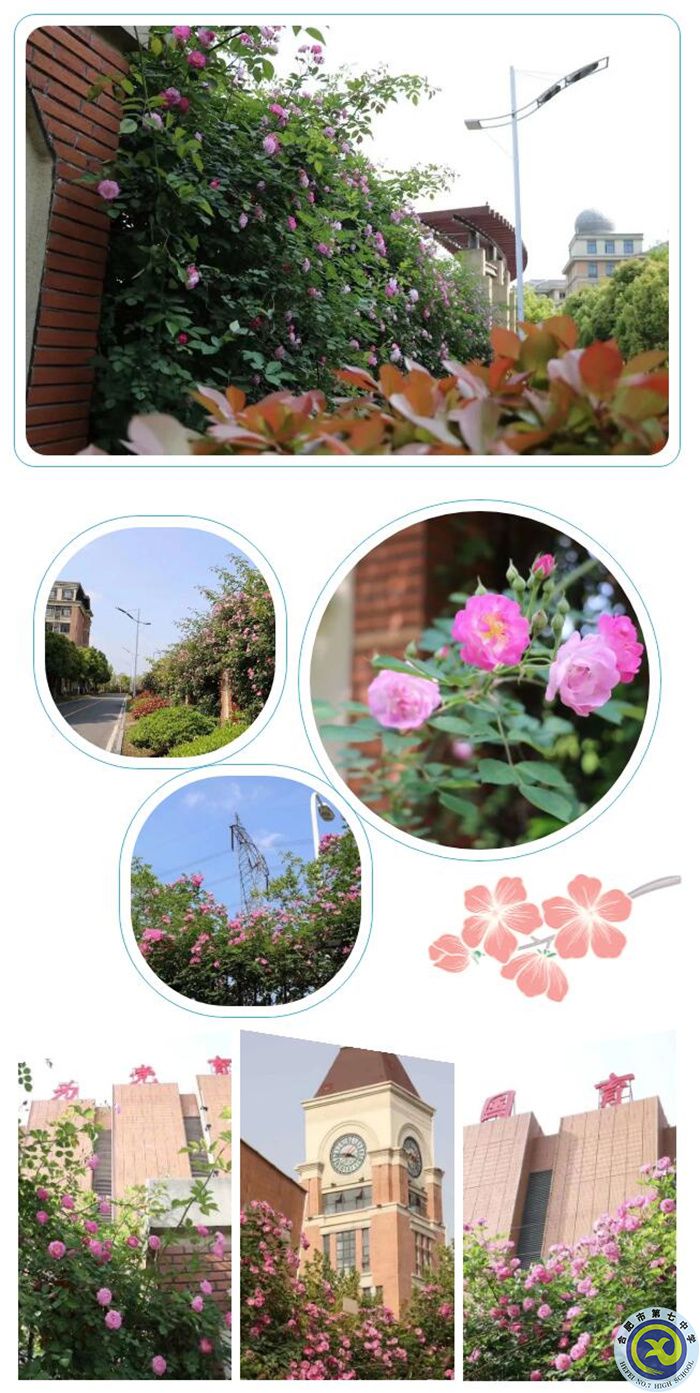 QQ截图20230423123904.jpg QQ截图20230423123904.jpg