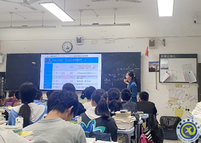 江岚岚.png 江岚岚.png