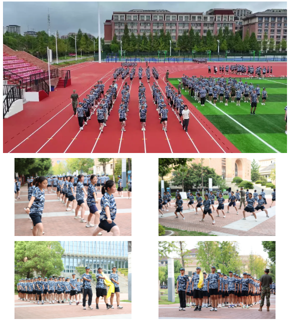 QQ截图20240828150951.png QQ截图20240828150951.png