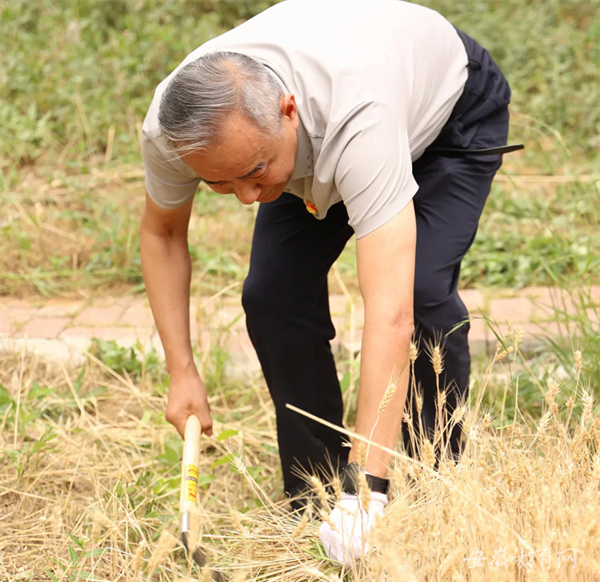 安徽省教育厅:美好生活 劳动创造 合肥七中开展系列劳动实践教育活动(图2) 安徽省教育厅:美好生活 劳动创造 合肥七中开展系列劳动实践教育活动(图2)