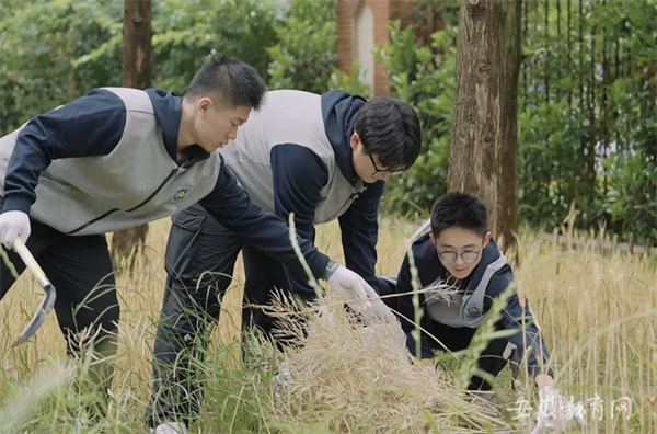 安徽省教育厅:美好生活 劳动创造 合肥七中开展系列劳动实践教育活动(图1) 安徽省教育厅:美好生活 劳动创造 合肥七中开展系列劳动实践教育活动(图1)